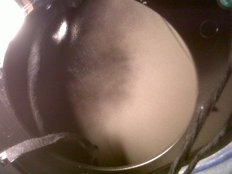 IMG00095-20100823-1735.jpg