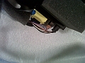 IMG00617-20101104-1842