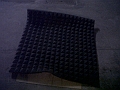 IMG01031-20110227-1145